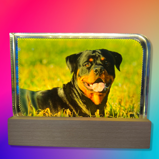 Personalised Portrait Glass LED Lamp