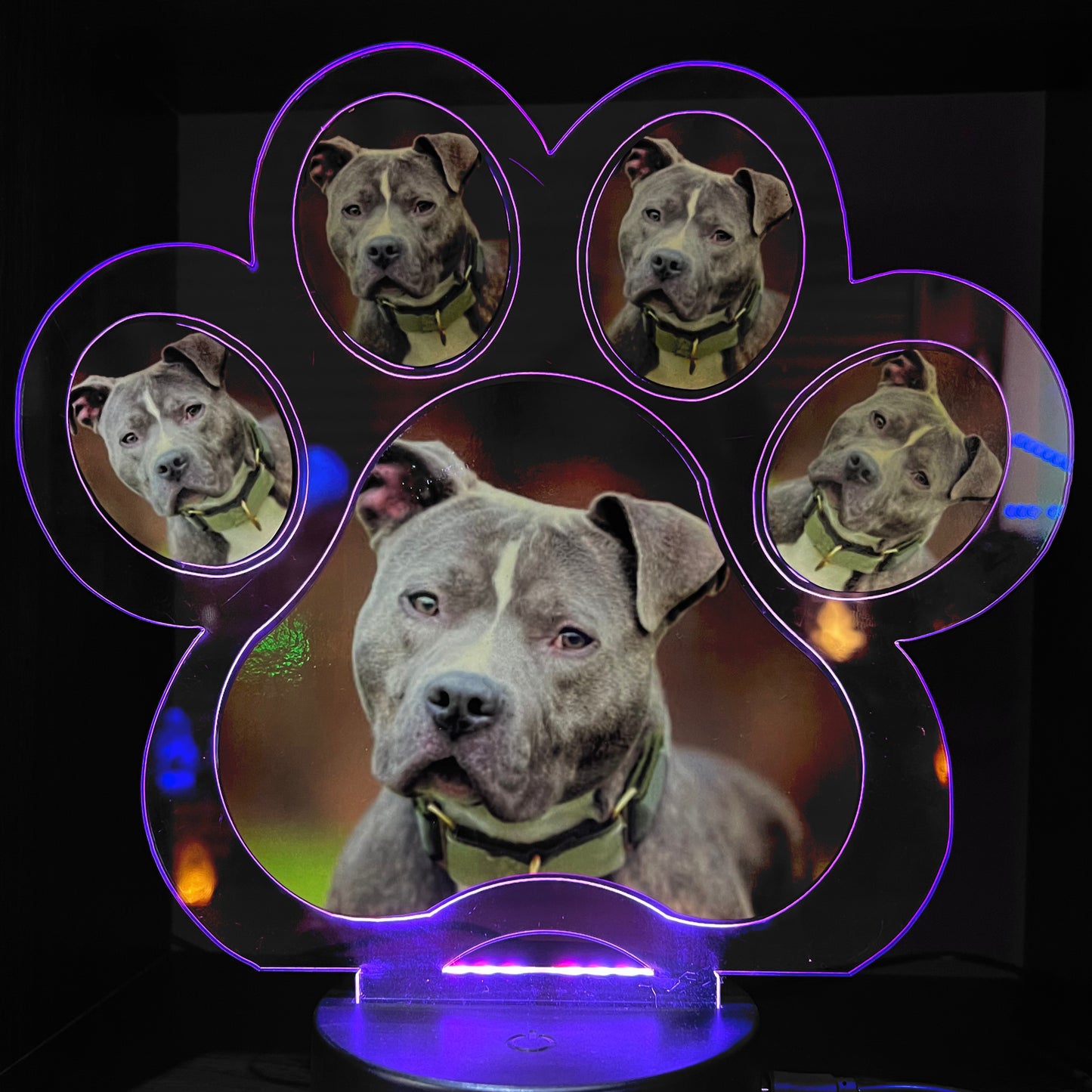 Personalised Pet Paw LED Lamp