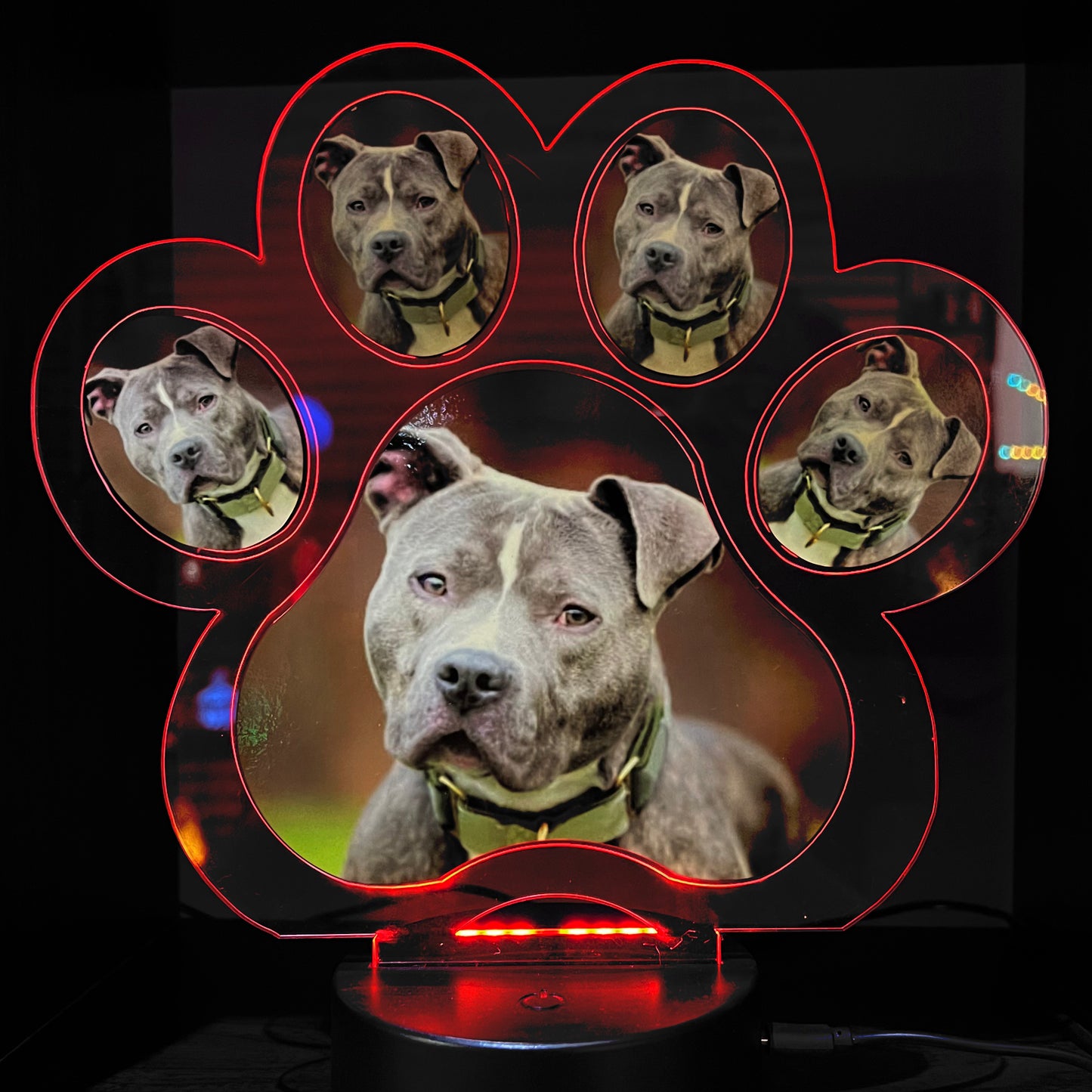 Personalised Pet Paw LED Lamp