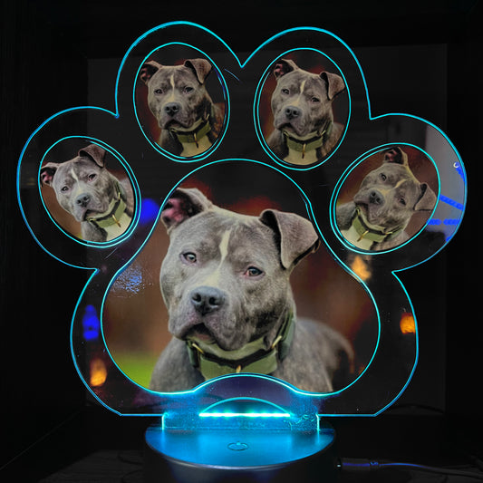 Personalised Pet Paw LED Lamp