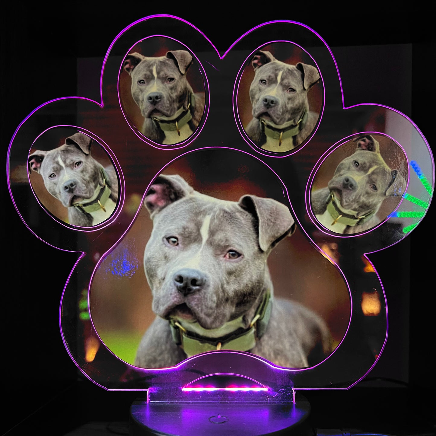Personalised Pet Paw LED Lamp
