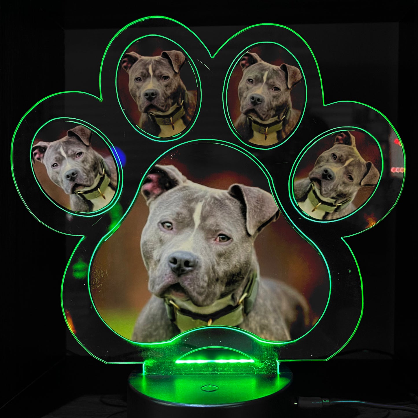 Personalised Pet Paw LED Lamp